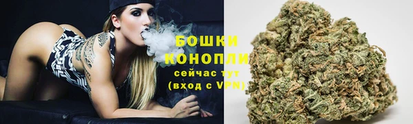 прущие крисы Няндома