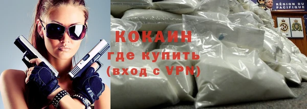 прущие крисы Няндома