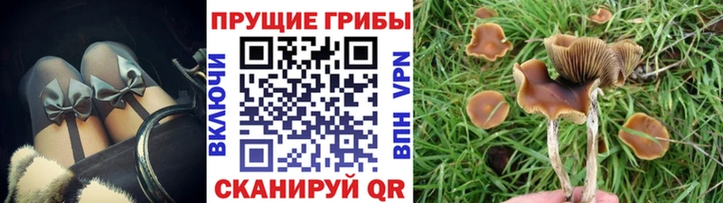 Псилоцибиновые грибы GOLDEN TEACHER  Усинск 